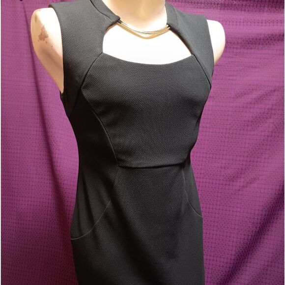 🤠Like New Bisou Bisou Michele Bonbot Sleeveless Dress Size 14 - Picture 5 of 7